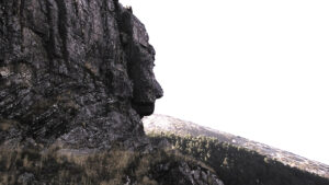 Valle del Aragón.El Vigilante. Aventura, librosynovelas