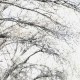 En el invierno, Costumbrismo, en libros y novelas, www.librosynovelas.es