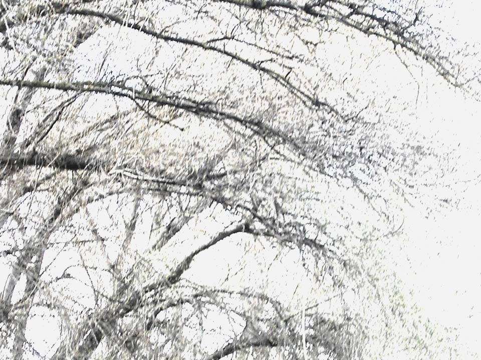 En el invierno, Costumbrismo, en libros y novelas, www.librosynovelas.es