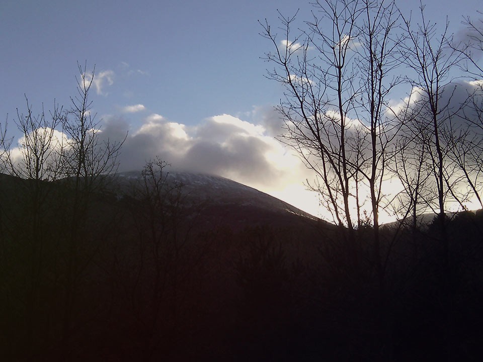 Dehesa del Moncayo en Invierno, ilustración para El Mundo. Libros y novelas www.librosynovelas.es
