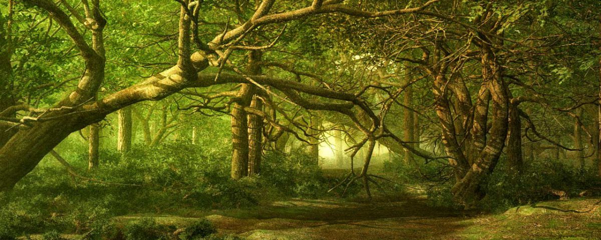 El bosque animado. Descripciones,librosynovelas