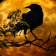 Para subir a la falsa.Opinión, librosynovelas