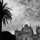 La Guarida. Descripción, librosynovelas.es Libros y Novelas
