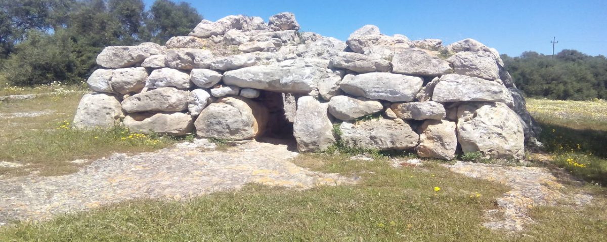Naveta. Costumbrismo, librosynovelas