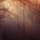 Vampiros de antaño. Fantasía, librosynovelas