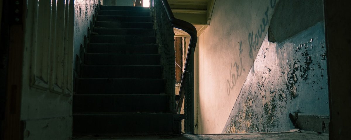 La taberna. Crítica de libros, librosynovelas