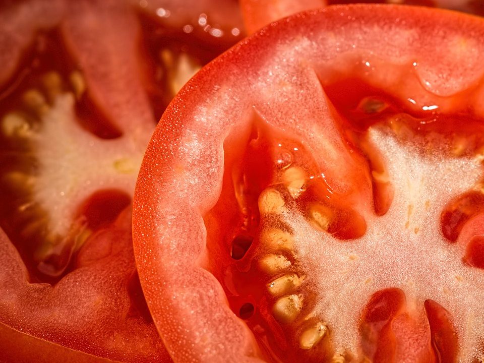 Tomates. Opinión, librosynovelas