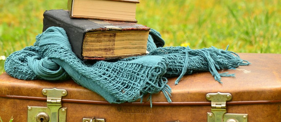 Los libros viajeros. Opinió, librosynovelas