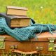 Los libros viajeros. Opinió, librosynovelas