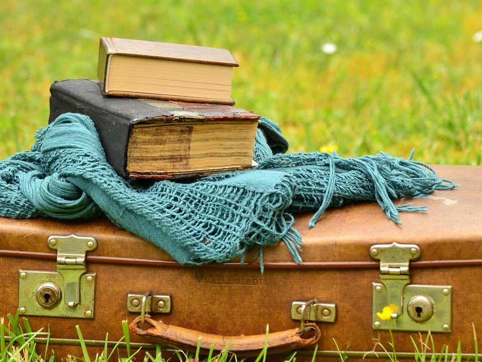 Los libros viajeros. Opinió, librosynovelas