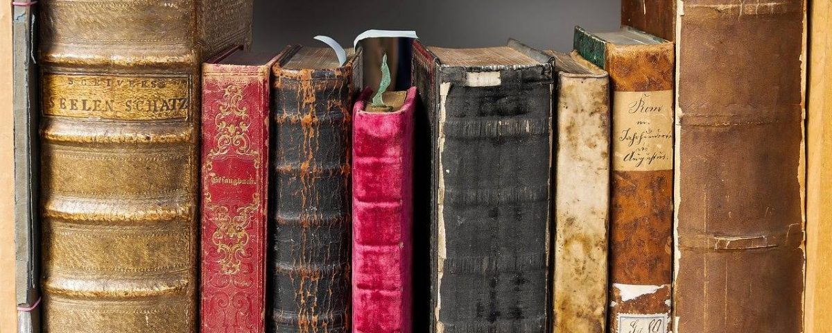 Libros. Crítica de libros, librosynovelas, imagen: Gerhard Gellinger