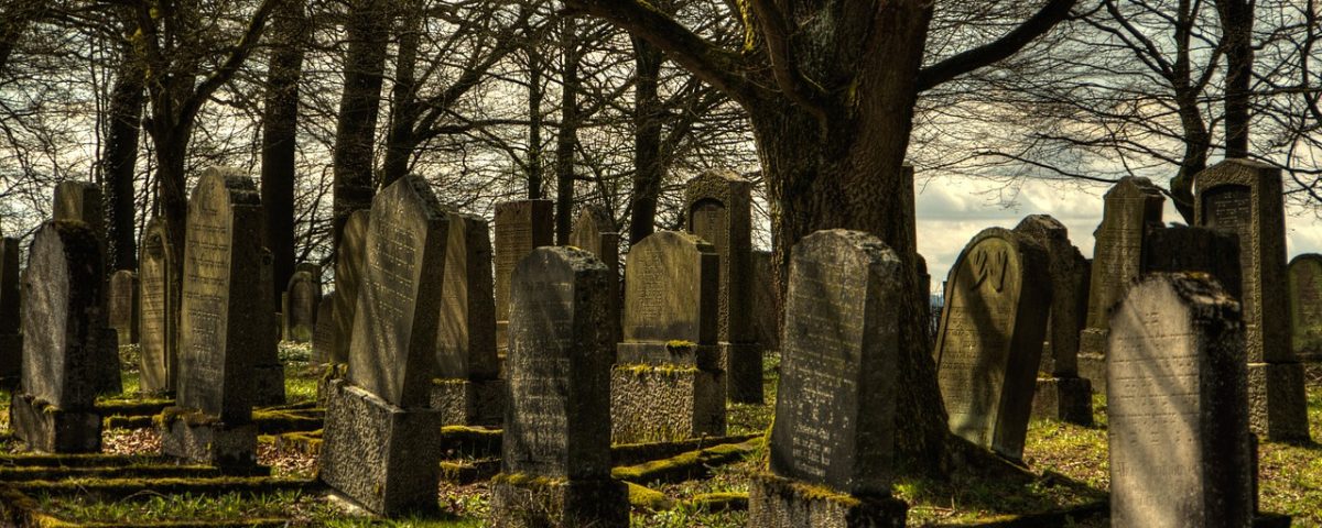 La inmortalidad. Opinión, librosynovelas