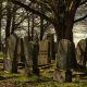 La inmortalidad. Opinión, librosynovelas