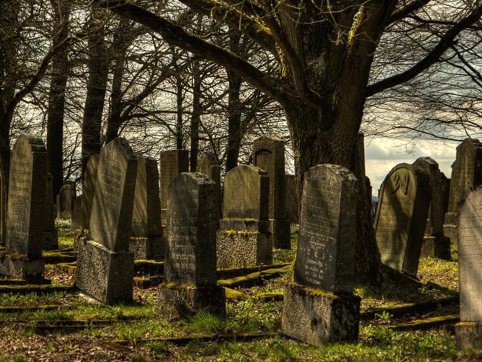 La inmortalidad. Opinión, librosynovelas